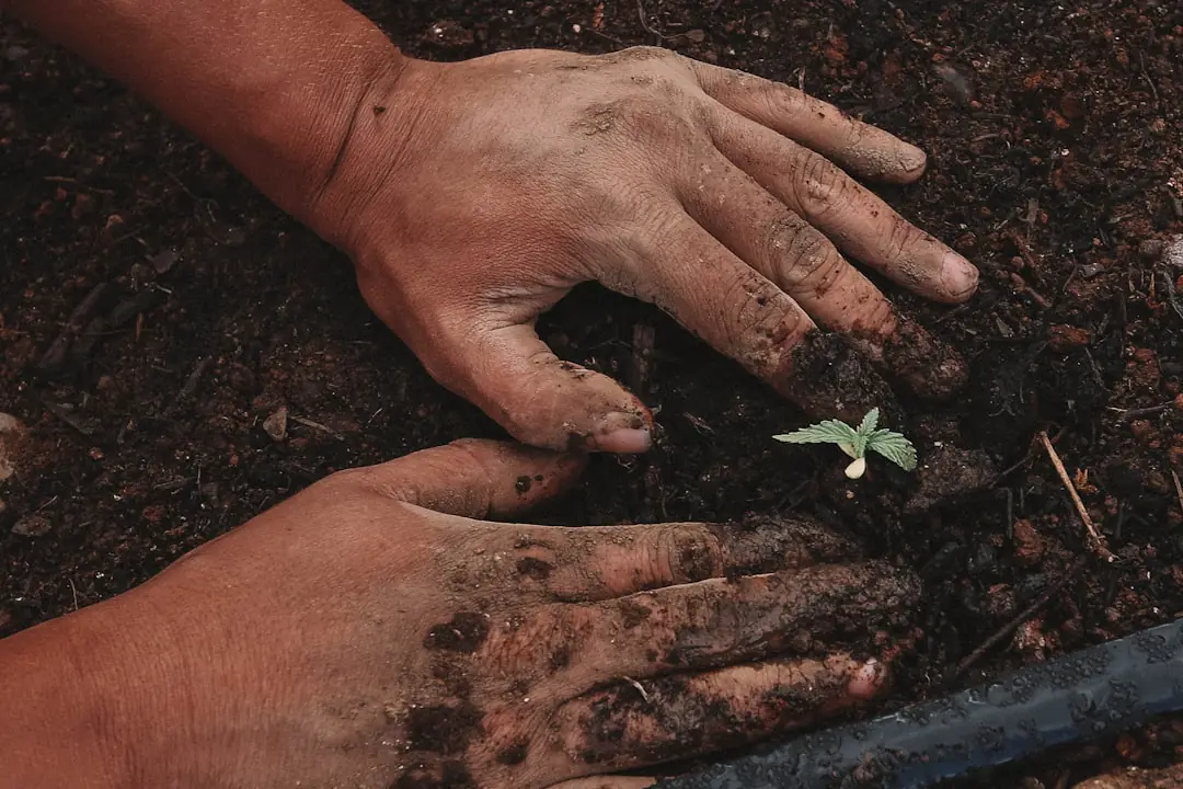 Jardinier indépendant préparant ses outils devant un jardin résidentiel soigné au début d’une journée de travail