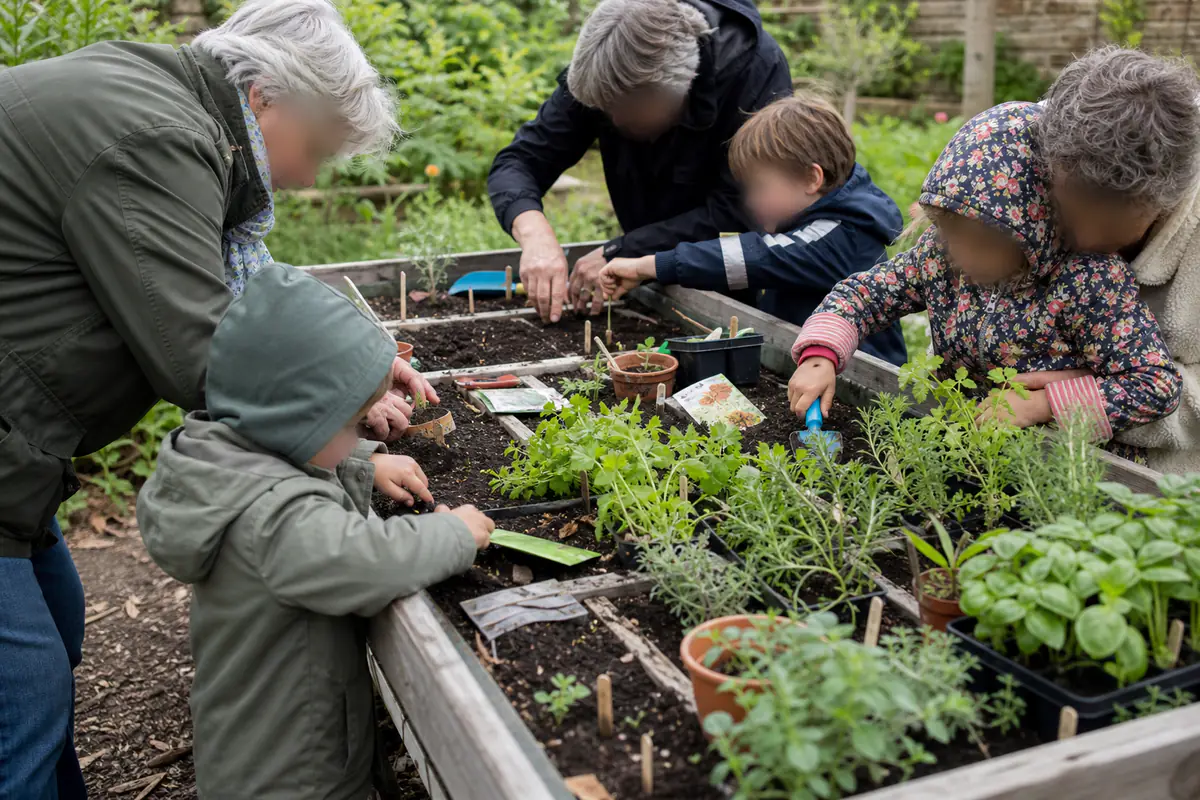 Participants de plusieurs générations semant des aromatiques autour d’une table de culture en bois dans un jardin partagé.