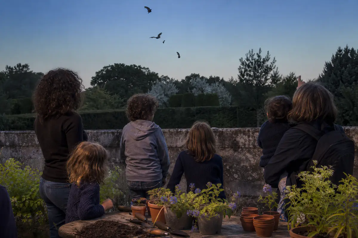 Participants réunis au crépuscule dans un jardin, observant le ciel avant un atelier de plantation écologique