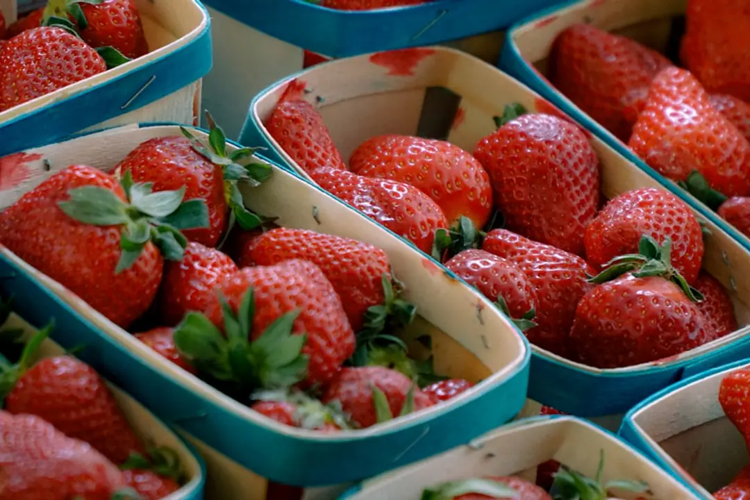 Snack garden français en bacs avec tomates cerises, fraises, radis et jeunes salades près d’une terrasse