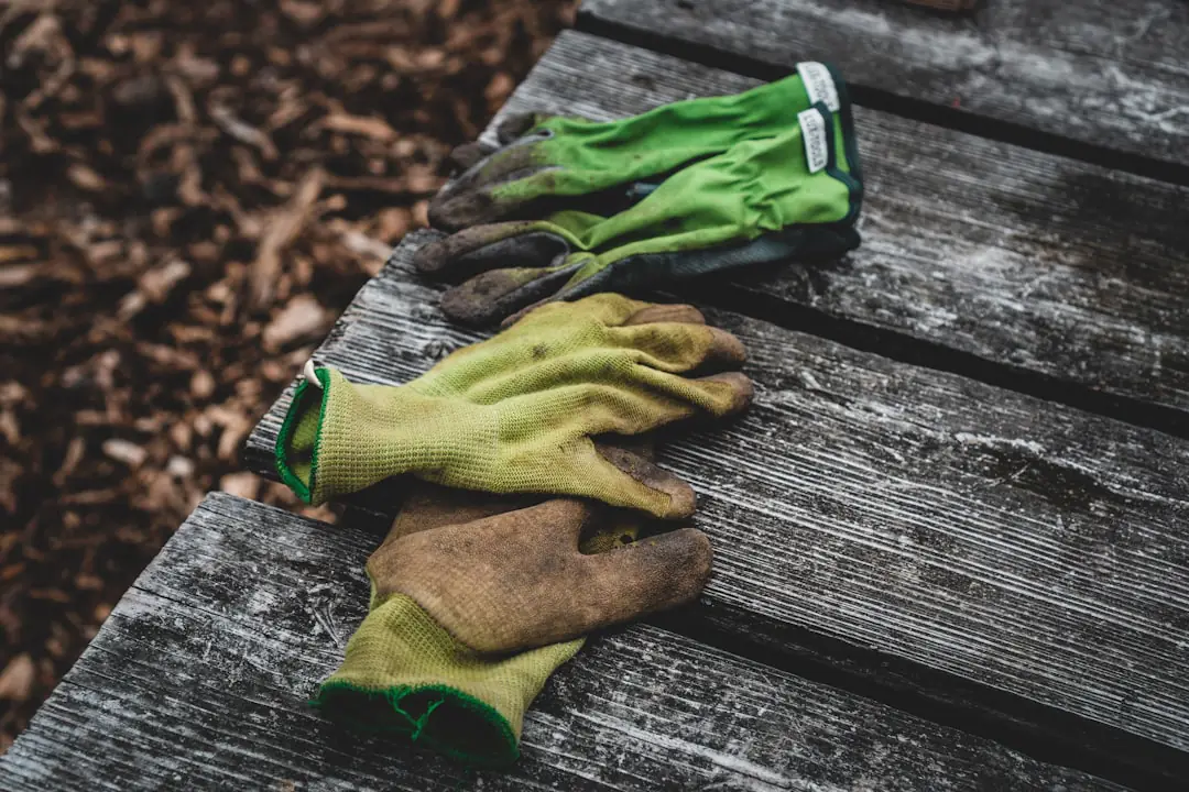 Cinq outils de jardinage robustes sur un établi en bois dans un potager familial français paillé