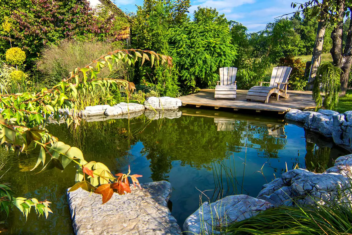 Jardin français aménagé avec allée courbe, massifs paillés, terrasse et jeunes arbustes structurants