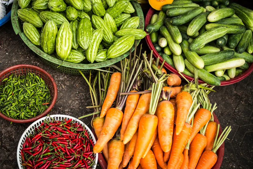 Laitues, radis fraîchement récoltés et épinards montés dans un potager paillé après une forte chaleur