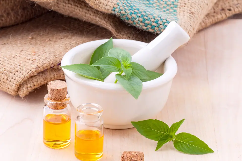 Collection d’aromatiques en pots et en pleine terre, avec basilic, thym, persil, menthe et romarin
