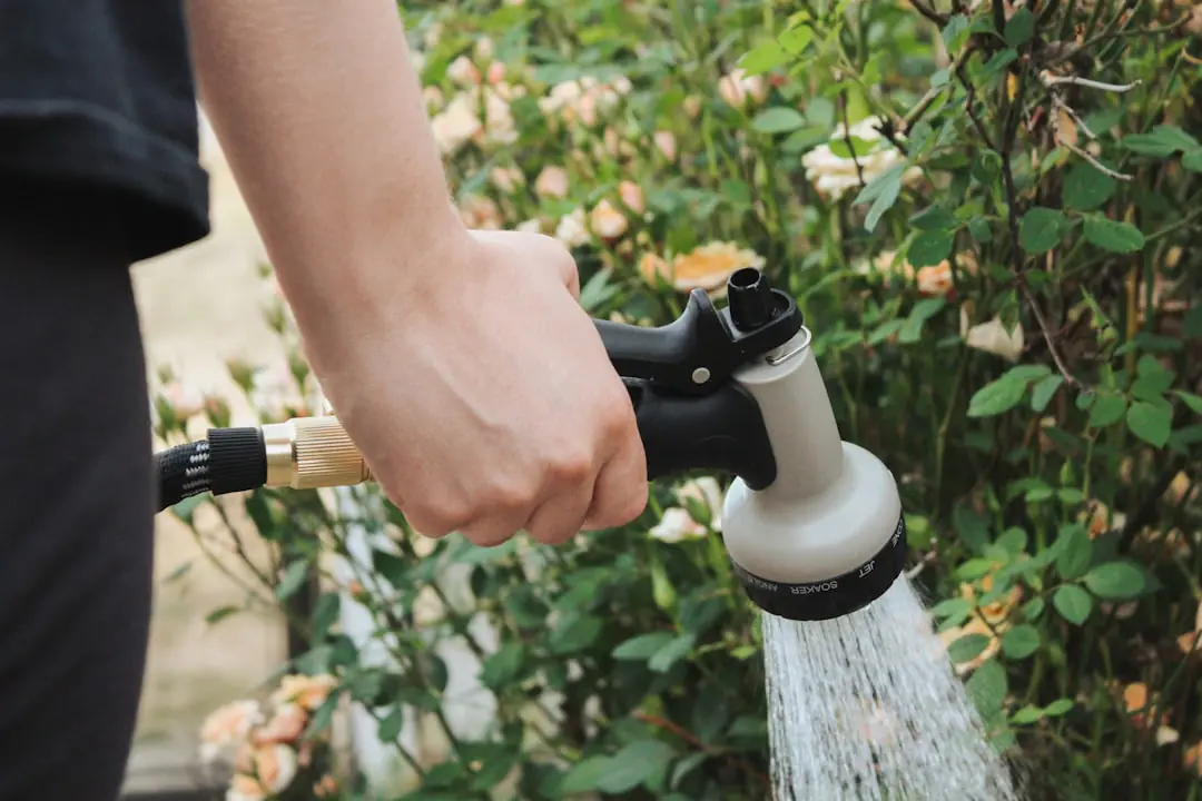 Jardinière arrosée lentement au pied de jeunes plants dans un potager français dès le matin par forte chaleur