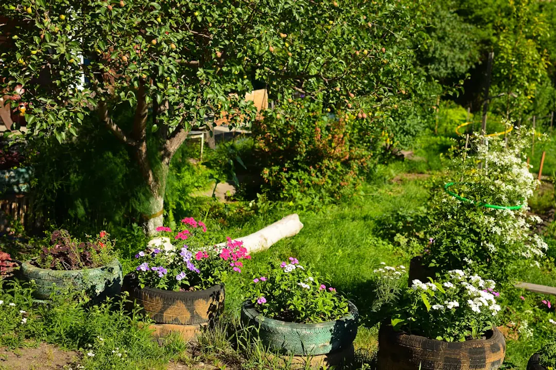 Potées fleuries protégées du soleil par un voile d’ombrage léger sur une terrasse de jardin française