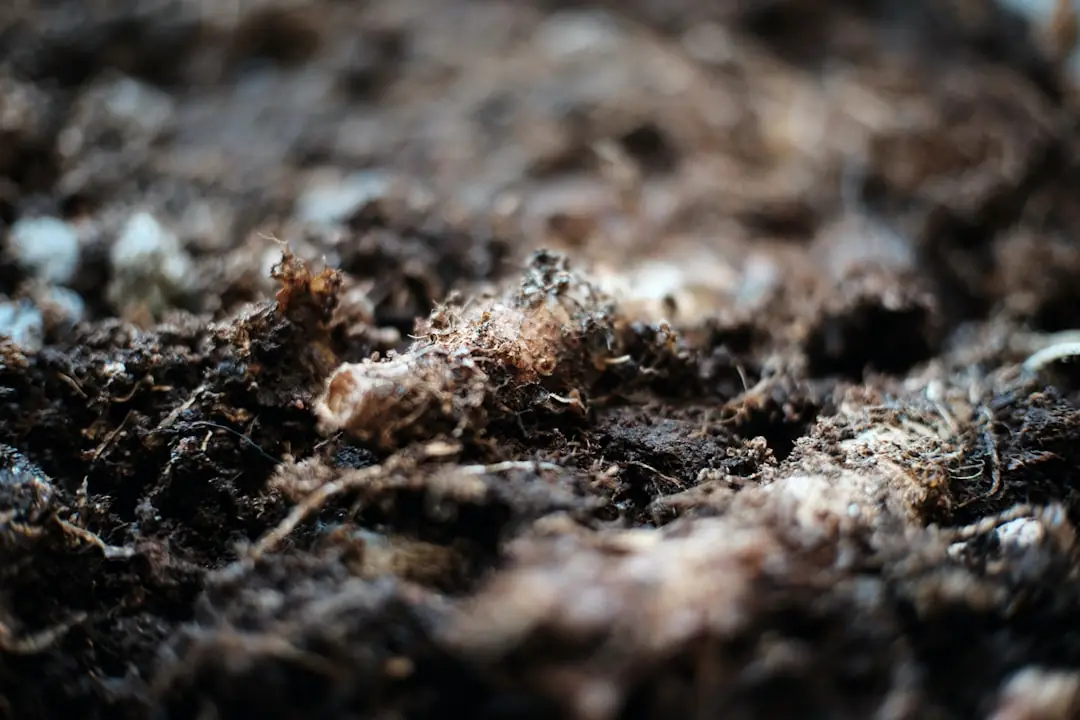 Jardinier tamisant du terreau usagé dans une brouette près de pots et d’un bac à compost au jardin
