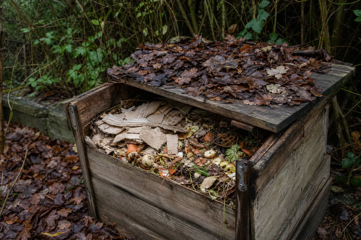 Composteur de jardin protégé par des feuilles sèches en hiver, avec déchets verts et bruns visibles