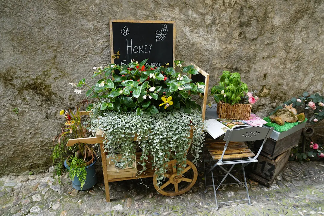 Jardinier aménageant un petit massif fleuri d’été avec vivaces, paillage et pots sur une terrasse française