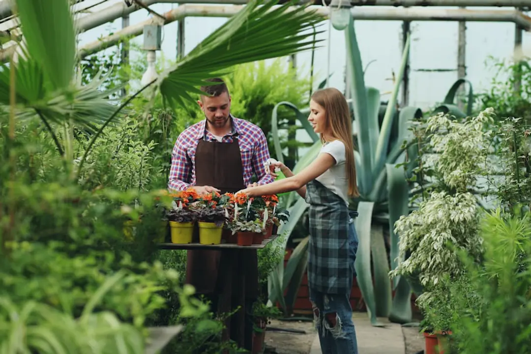 Jardin français en hiver avec potager paillé, jeune arbre tuteuré et plantes en pots protégées du gel