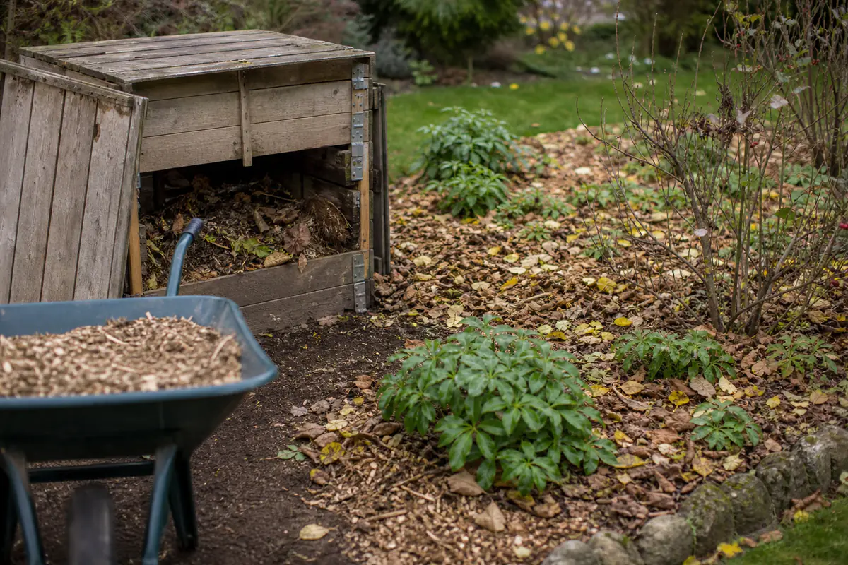 Tas de branches broyées et feuilles au pied d’un massif près d’un composteur en bois dans un jardin français