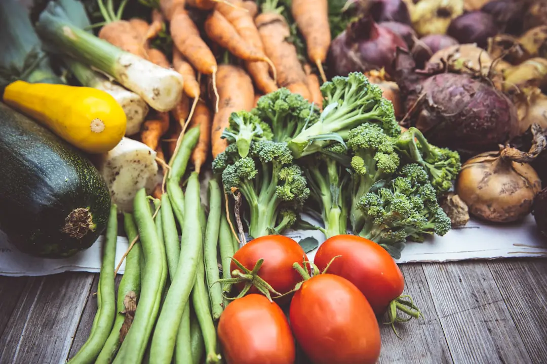 Rangs de jeunes légumes semés et plants de laitue dans un potager français au soleil doux d’avril