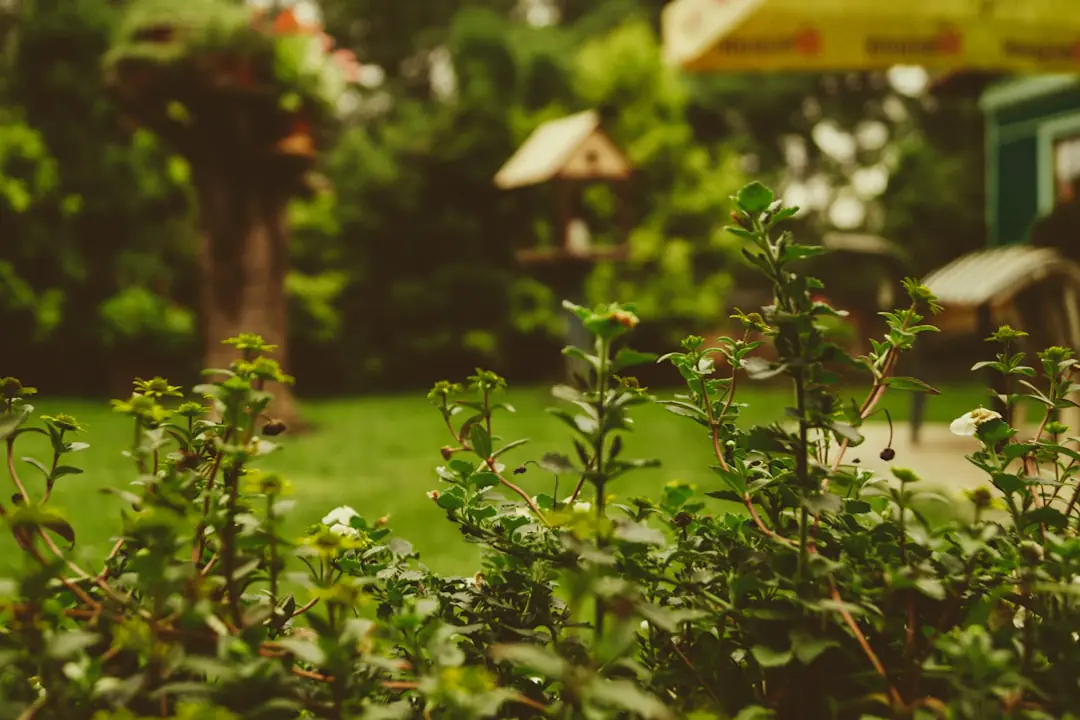 Petit groupe de voisins visitant un potager fleuri lors d’une rencontre conviviale dans un jardin français.