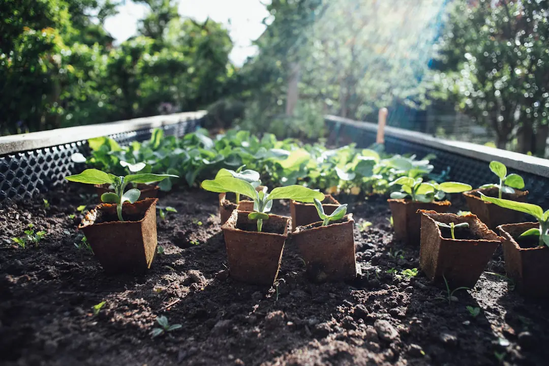 Jeunes jardiniers semant des haricots dans un bac potager paillé, accompagnés d’un adulte au jardin