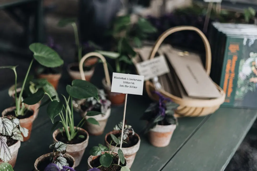 Table de jardin en bois avec carnet de culture, étiquettes en ardoise et arrosoir dans un jardin français.