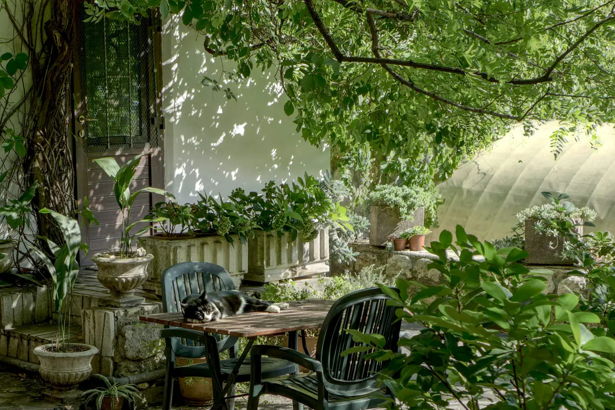 Jardin sensoriel ensoleillé avec aromatiques, graminées, banc en bois et chemin paillé accessible