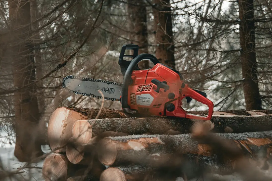 Tronçonneuse électrique posée sur un établi de jardin, avec casque, gants et bûches soigneusement rangées