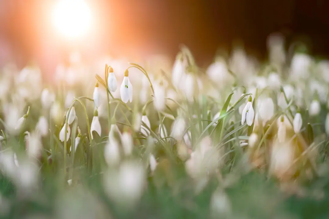 Participants de tous âges semant des graines et décorant des godets dans un jardin français au printemps