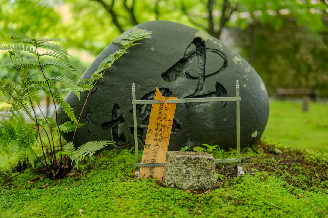 Neuf outils de jardinage japonais en acier et bois disposés sur un établi dans un potager français lumineux.