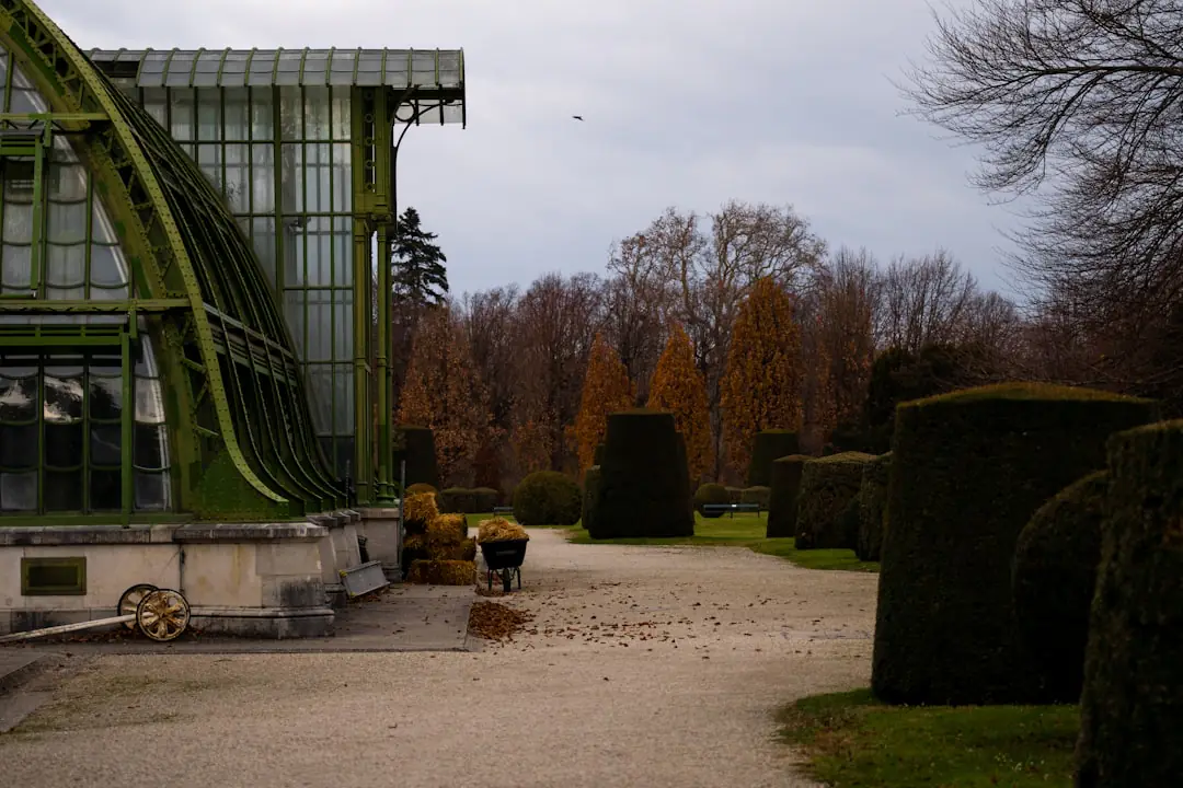 Jardin français transformé avec massif en courbes, chemin de gravier, vivaces fleuries et assise ombragée