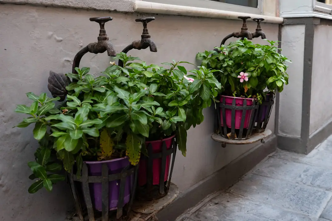 Grande jardinière rectangulaire en terrasse plantée d’aromatiques et de fleurs, posée sur cales de drainage.