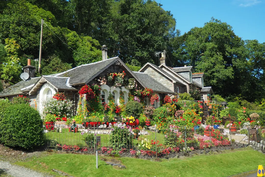 Petit jardin urbain avec banquette en bois, potées fleuries, aromatiques et chemin de pas japonais