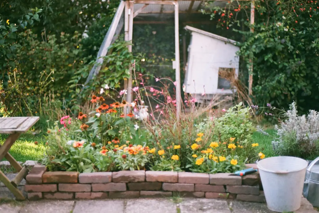 Massif de fleurs mêlées et colorées, bordé d’une allée tondue, dans un jardin français ensoleillé