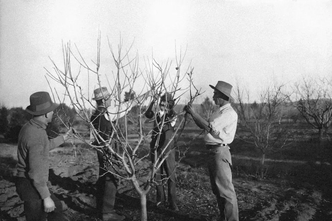 Branches d’un arbre dépassant une clôture entre deux jardins français, observées par deux voisins au calme.