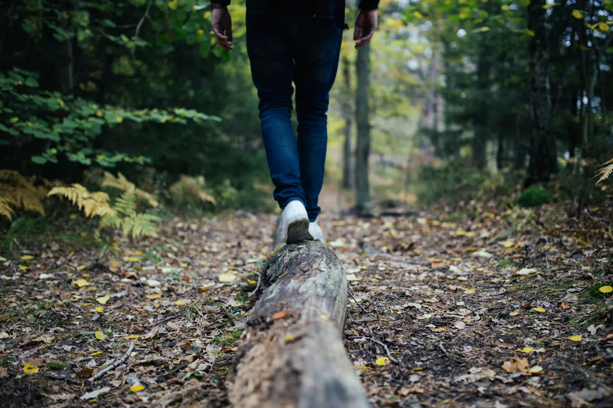 Promeneuse prenant des notes devant une haie champêtre, puis paillant un petit potager familial ensoleillé