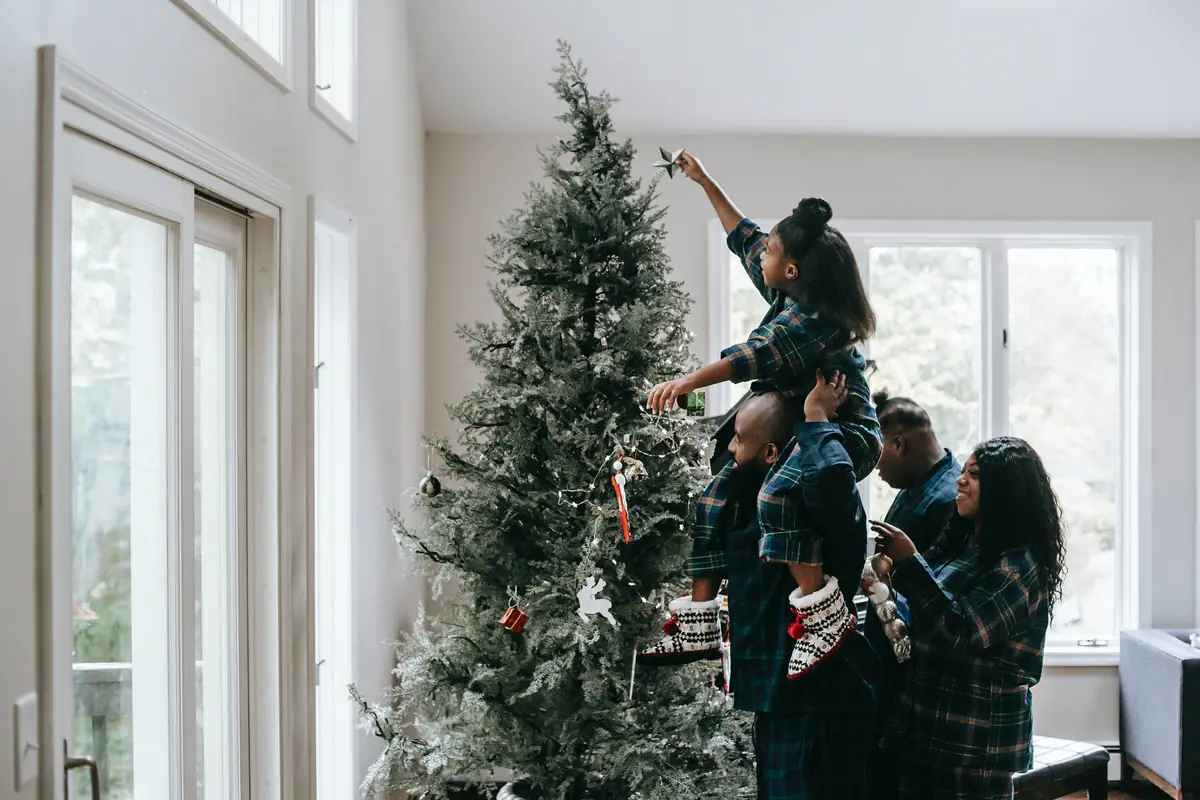 Un sapin de Noël Nordmann en conteneur mesuré dans un salon lumineux avant une décoration familiale