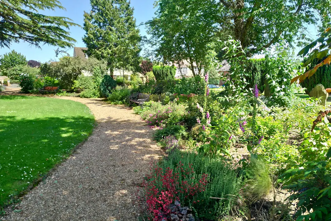 Massif ensoleillé mêlant rosiers roses, vivaces bleues et arbustes au feuillage dense dans un jardin français
