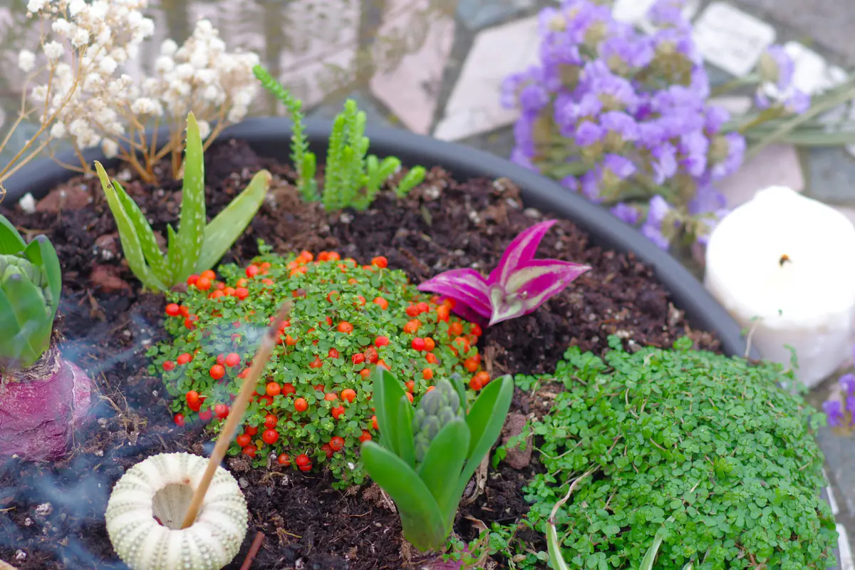 Habitants réunis autour de bacs fleuris et d’aromatiques dans le jardin accessible d’une résidence bretonne