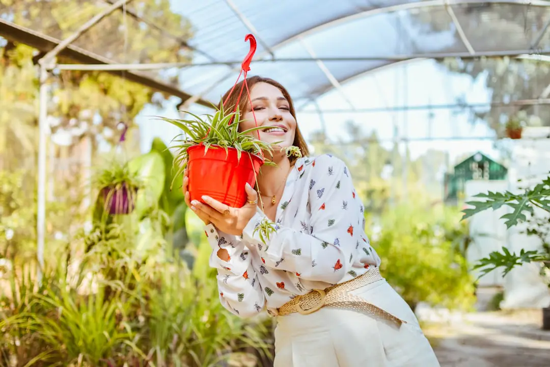 Jardinière protège un massif paillé et des pots regroupés dans un jardin français givré en décembre.