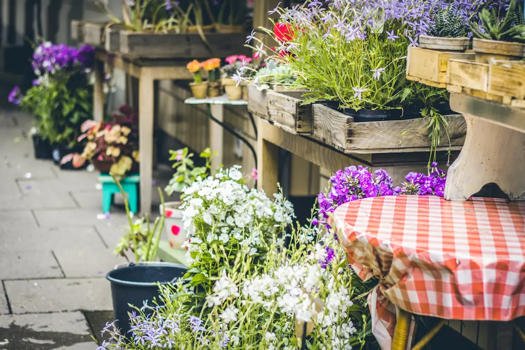 Stand de vide-jardin avec plantes vivaces étiquetées, outils propres et cagettes dans un jardin français lumineux