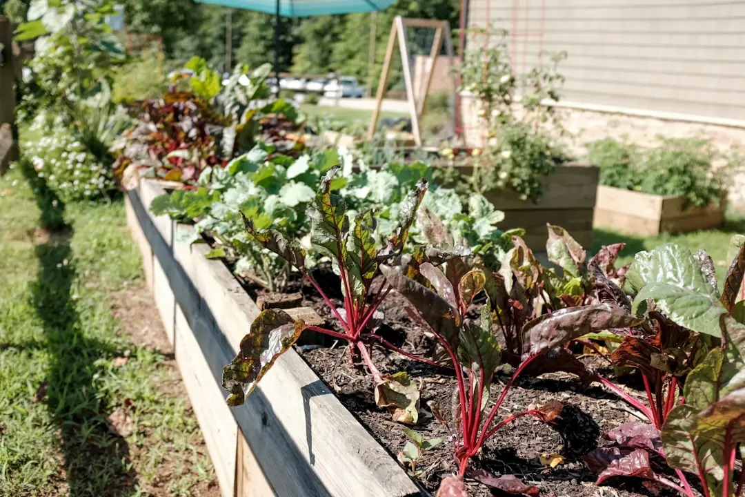 Des jardiniers de tous âges aménagent ensemble des planches potagères paillées dans un jardin partagé.