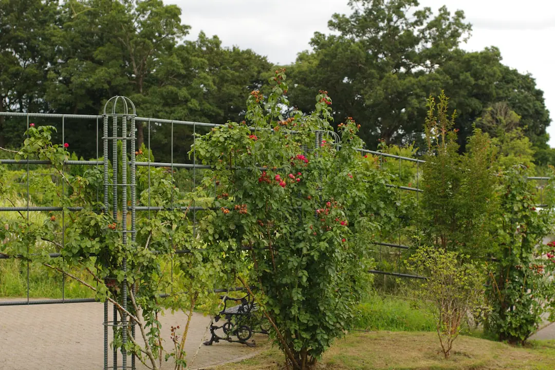 Jardin familial accessible avec allée stable, bacs surélevés, banc ombragé et plantations souples