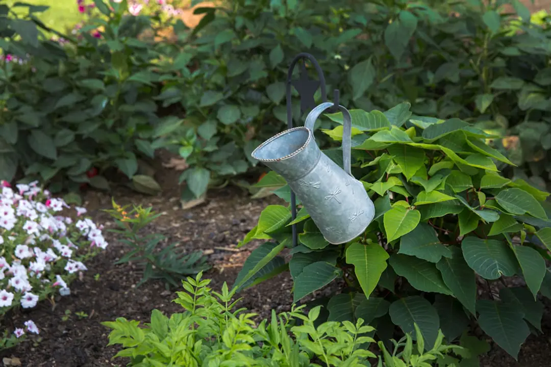 Atelier de jardinage écologique dans un jardin partagé, participants observant le sol et le paillage autour des légumes