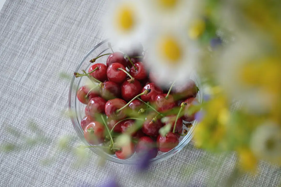 Jardin gourmand français mêlant fraisiers, aromatiques, fleurs et tomates près d’une terrasse en bois claire
