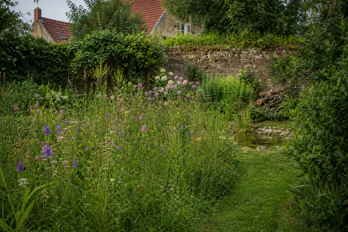 Jardin français fleuri avec prairie non tondue, mare peu profonde, arbustes et abri en bois pour insectes