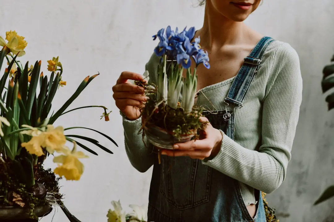 Coin de plantes vertes dans un salon lumineux, près d’une fenêtre avec pots percés et feuillages variés