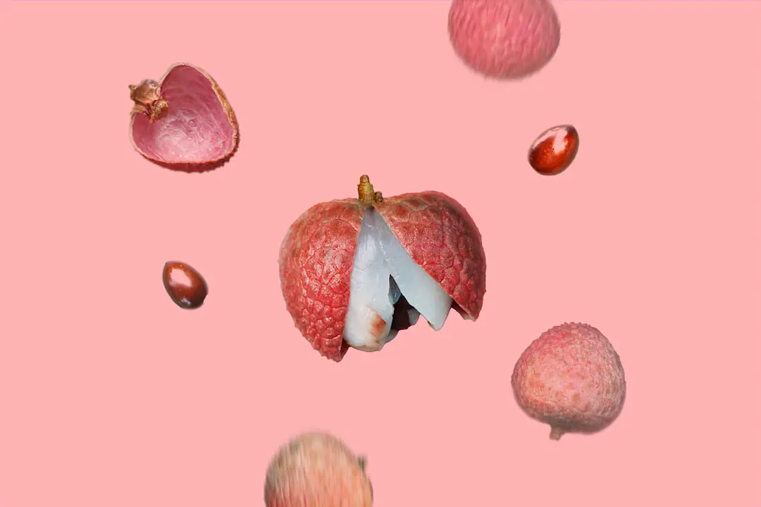 Noyau de litchi fraîchement semé dans un petit pot de terreau drainant près d’une fenêtre lumineuse