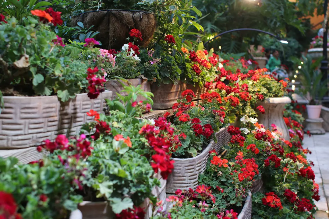 Carnet de jardin, paillage et jeunes plants dans un jardin familial français baigné d'une lumière douce