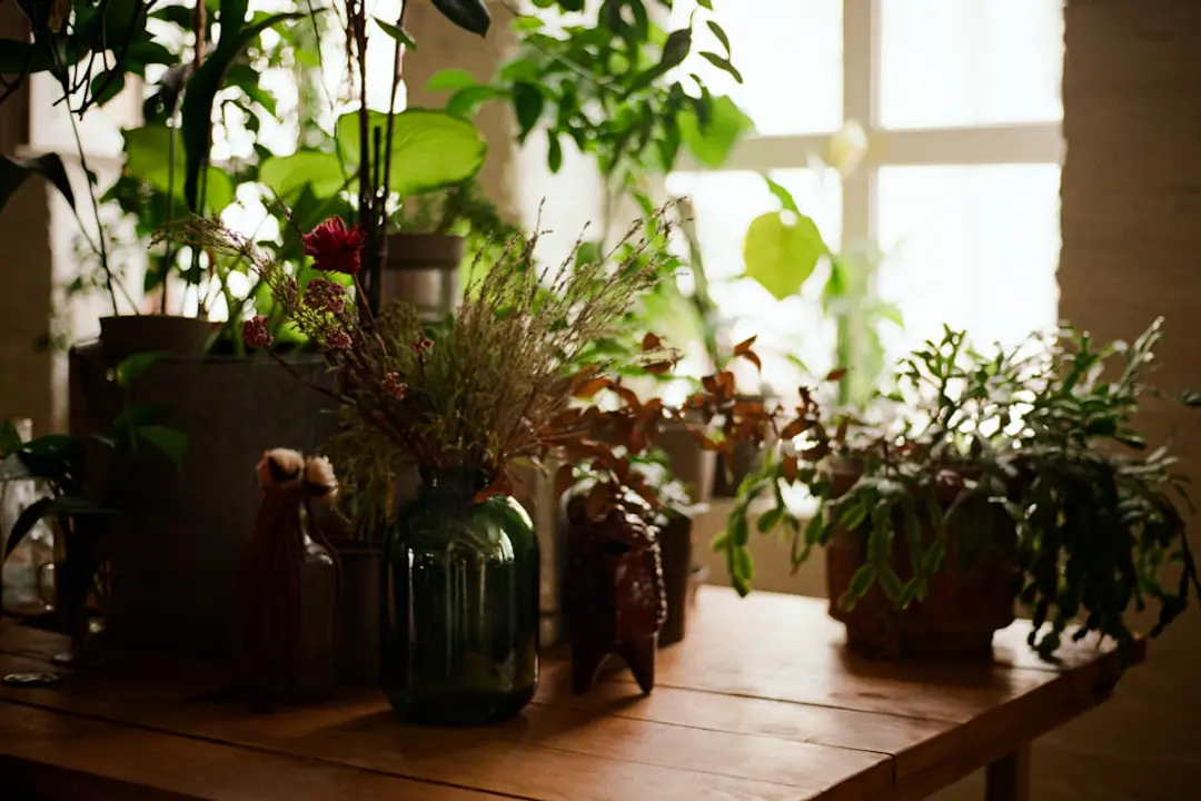 Herbes aromatiques en pots sur un rebord de fenêtre lumineux, avec basilic, persil, menthe et ciboulette