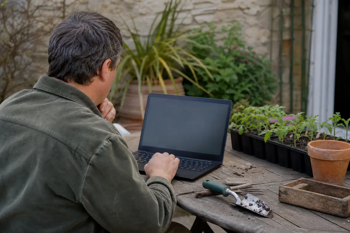 Jardinier consultant un compte de commande sur ordinateur portable près de jeunes plants en pot