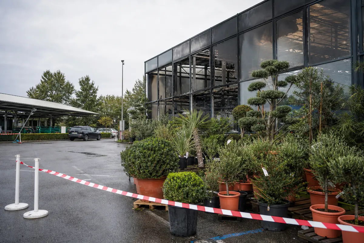 Devanture vitrée d’un magasin de jardinage après un feu extérieur, avec plantes en pots isolées et zone balisée.