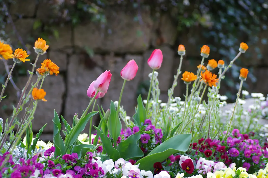 Jardinière préparant une planche de potager au printemps avec compost, semis et voile de protection