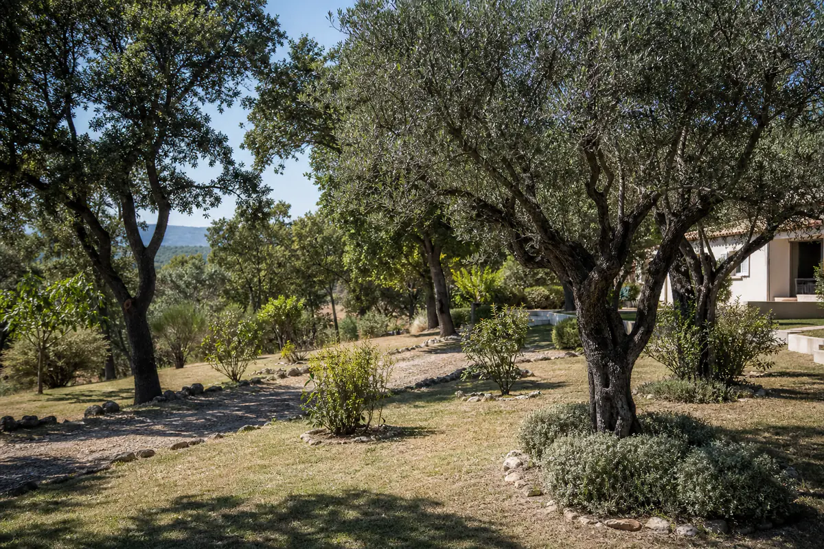Jardin méditerranéen débroussaillé autour d'une maison, arbres élagués et bandes herbeuses tondues