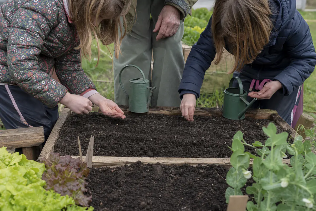 Enfants accompagnés semant des radis dans une parcelle de jardin partagé, avec arrosoirs et étiquettes en bois