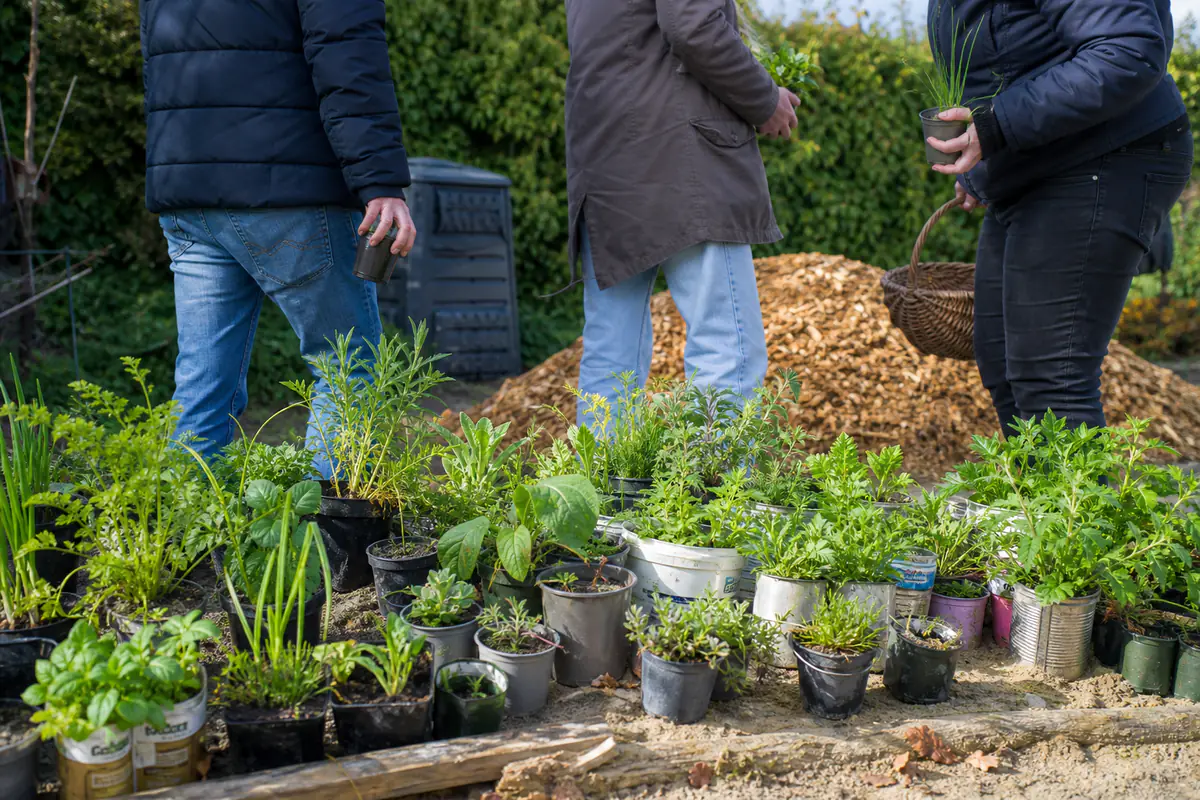 Jardiniers échangeant des plants étiquetés et du broyat lors d’une activité gratuite dans un jardin girondin