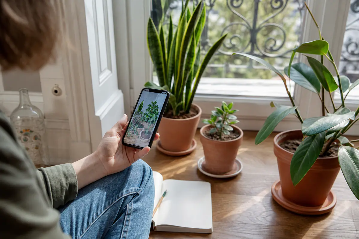 Personne consultant des comptes dédiés aux plantes près de plantes d’intérieur saines dans un salon lumineux